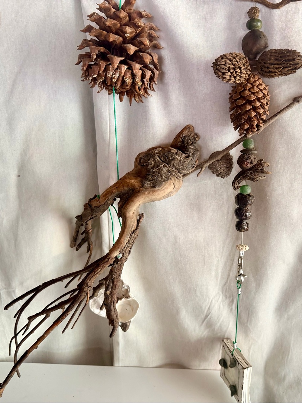 🌲NATURE INSPIRED DECOR - Picture 10 of 13